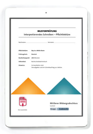 Titel PDF Mittlerer Bildungsabschluss Boy in a White Room