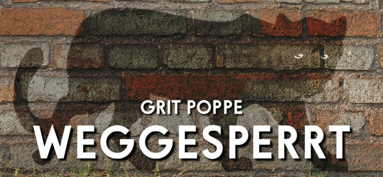 Weggesperrt – Grit Poppe – Zusammenfassung – Krapp & Gutknecht
